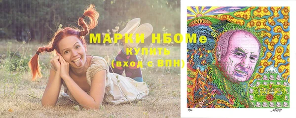 гидра Алексеевка