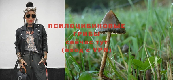 ешки Алексин