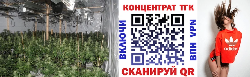 mega tor  наркота  Вилючинск  ТГК вейп с тгк 